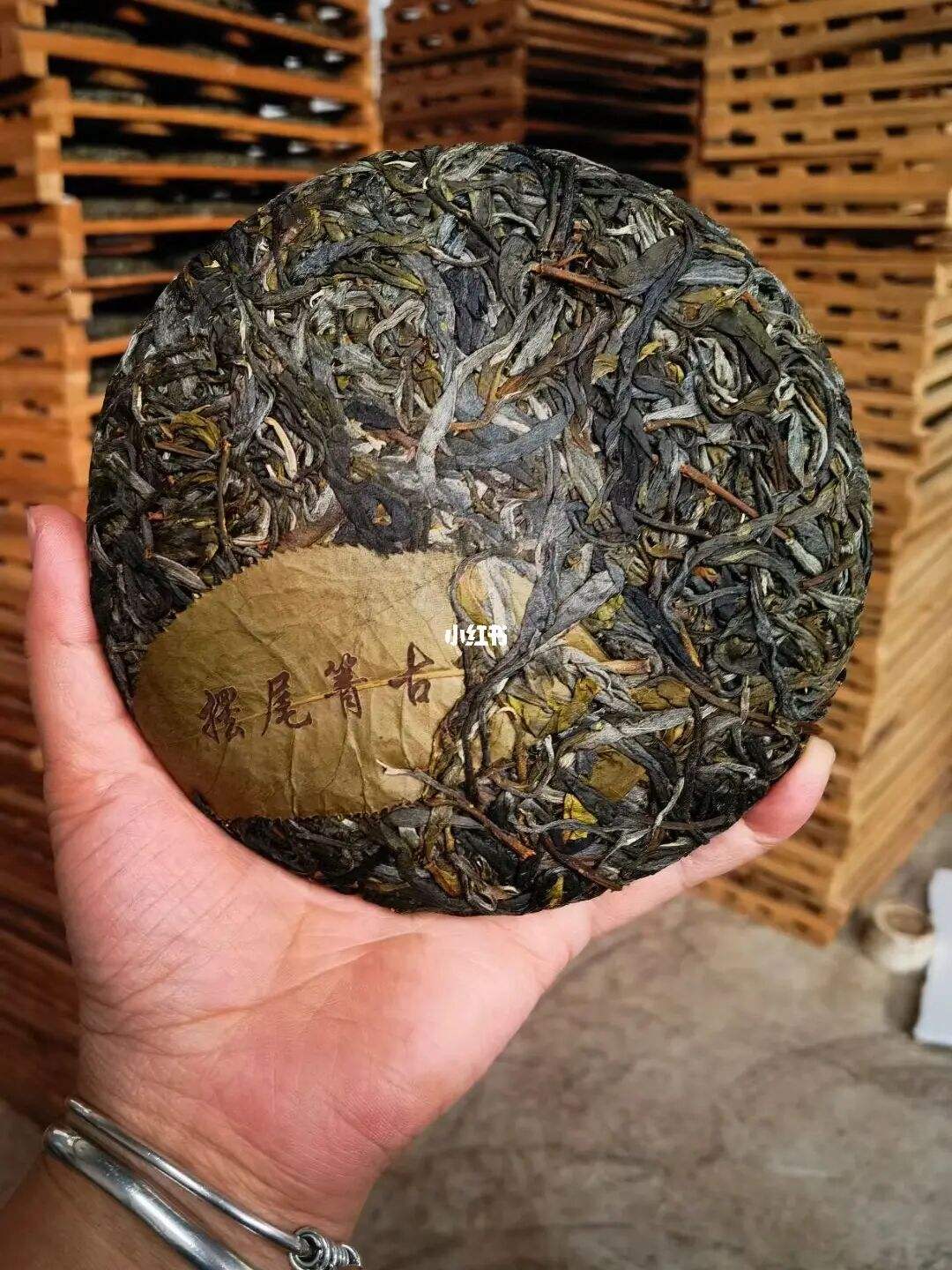 2022年寧洱 擺尾箐古樹春茶價格？