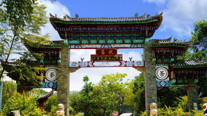 2022年易武正山在哪？易武正山是什么意思？