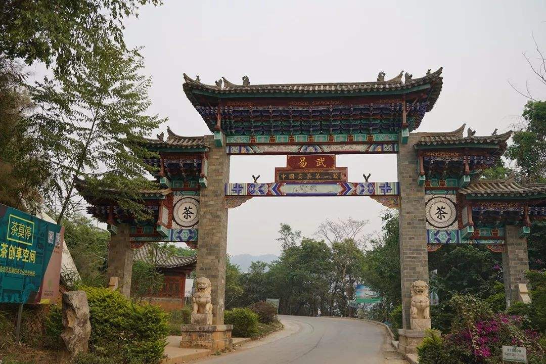 2022年易武正山古樹春茶特點(diǎn)？