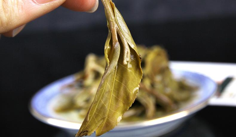 2022年冷水河古樹春茶價格？