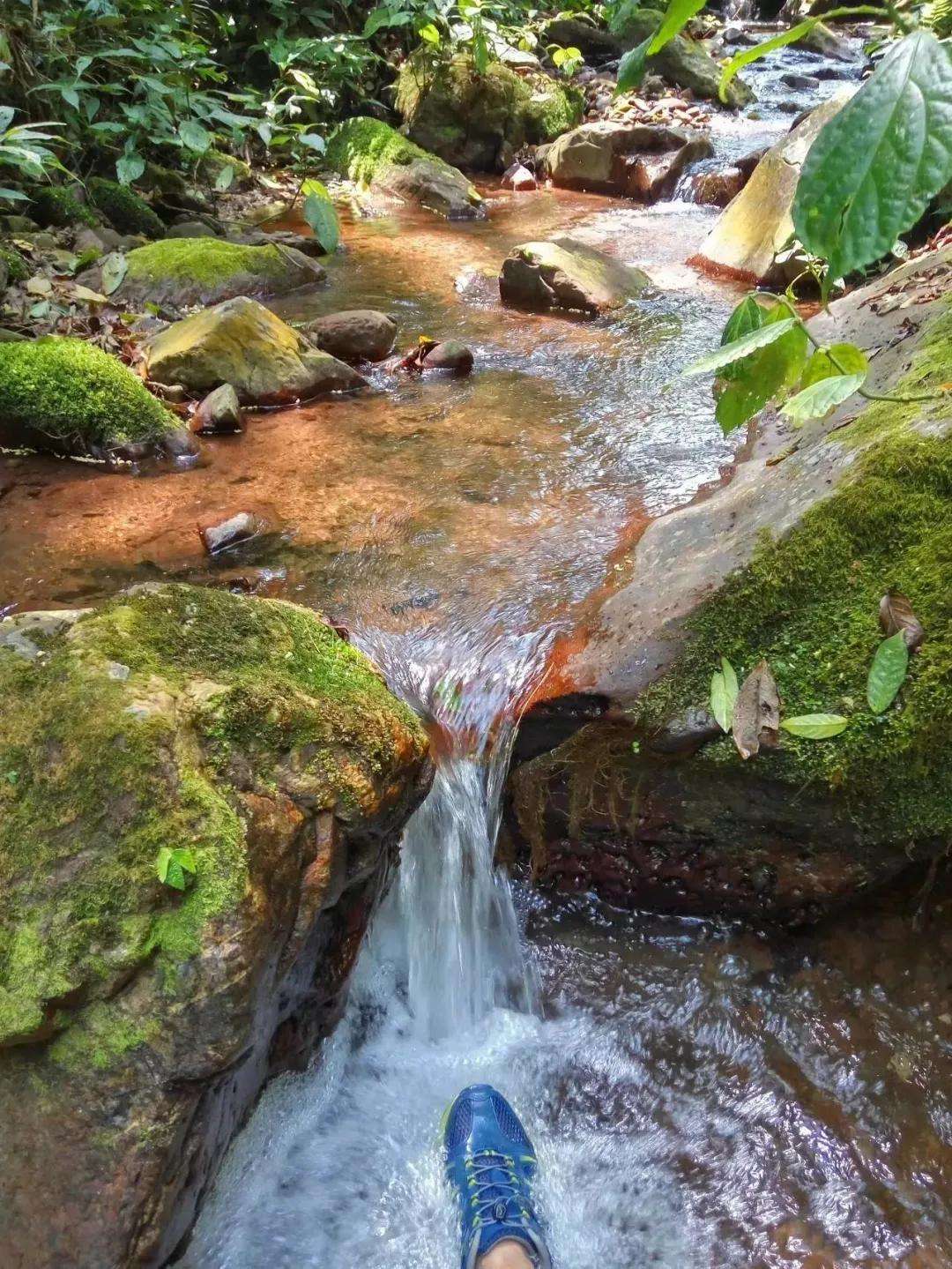 2022年銅箐河古樹春茶多少錢一公斤？