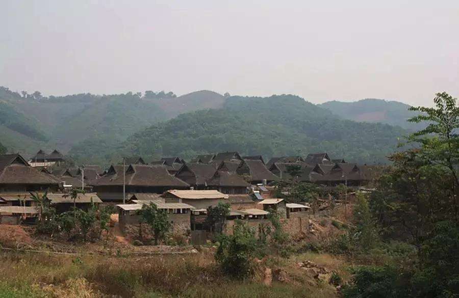 2022年革登古樹春茶特點？