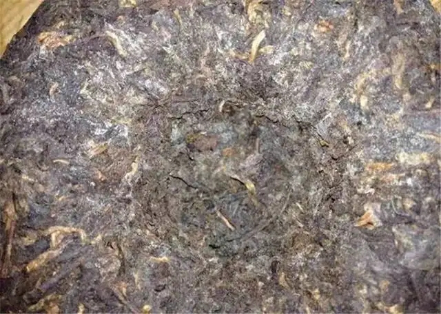 2022年普洱茶受潮發(fā)霉了怎么辦？