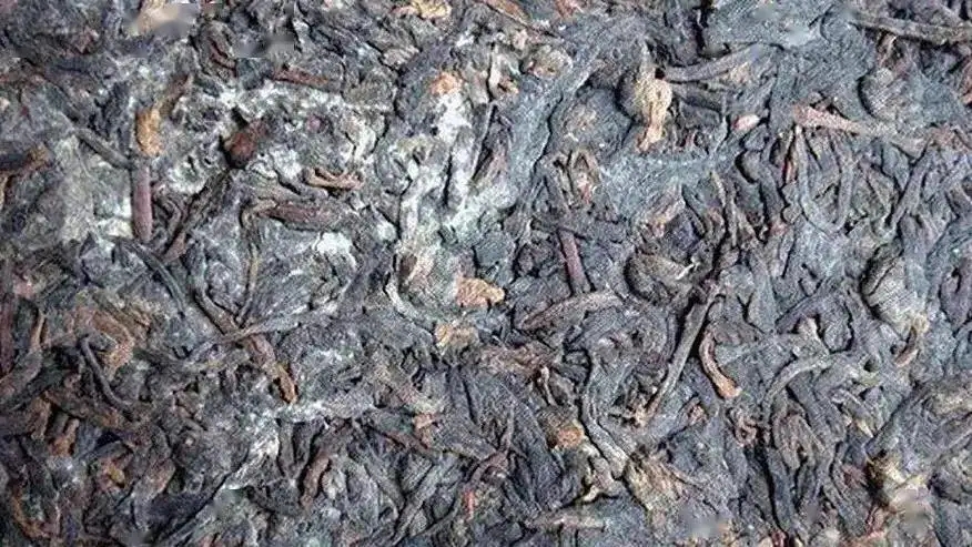 普洱茶怎么樣才算發(fā)霉？