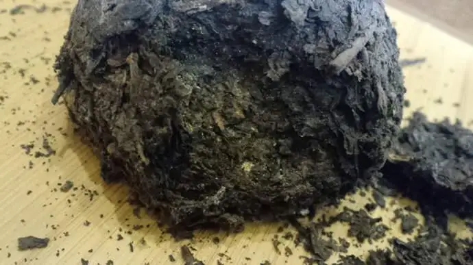 普洱茶蟲子怎么辦？