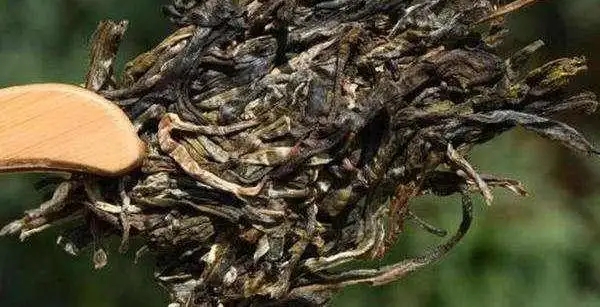 不同普洱茶生產(chǎn)地味道有哪些不同，不同派別的普洱茶味道又如何?