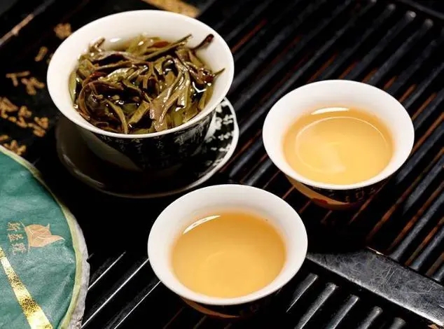 茶會(huì)“說話”，讀懂云南古樹普洱茶的秘訣