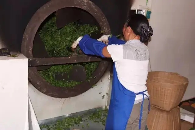 手工殺青與機(jī)器殺青的區(qū)別！