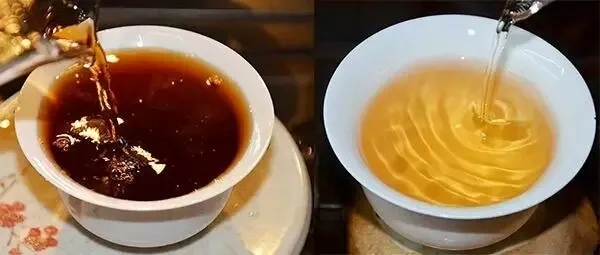 普洱茶湯怎么也會“出油”？