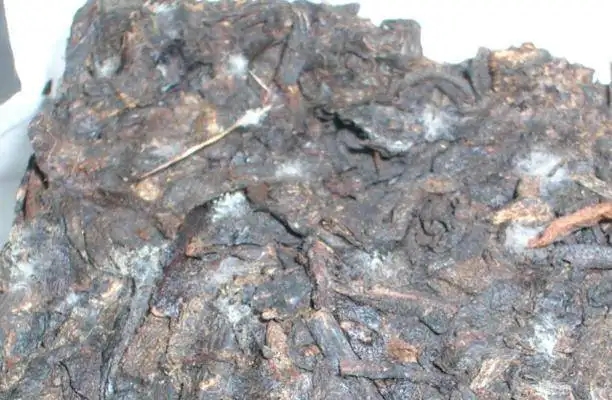 ?普洱茶發(fā)霉了怎么辦？教你妙招應對發(fā)霉的普洱茶！