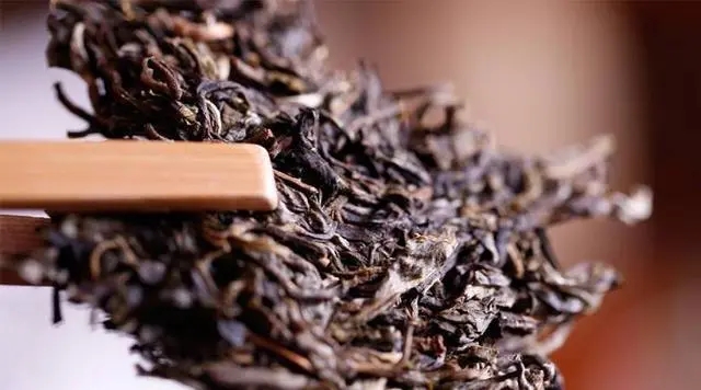 普洱生茶好還是普洱熟茶好喝？如何挑選適合自己的普洱茶？