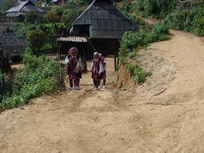 2022年的春天，古樹味道從犀牛塘開始！