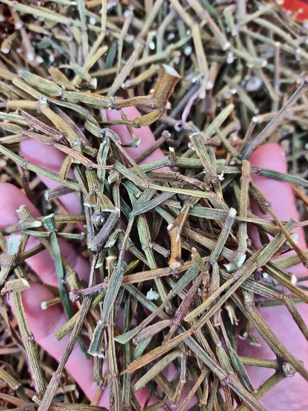 干貨 | 什么是茶界的螃蟹腳？