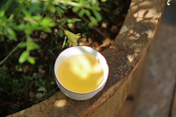 普洱茶越苦澀就代表品質(zhì)越好嗎？