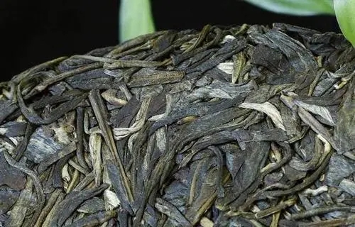 喝普洱茶，一定要喝老茶嗎？