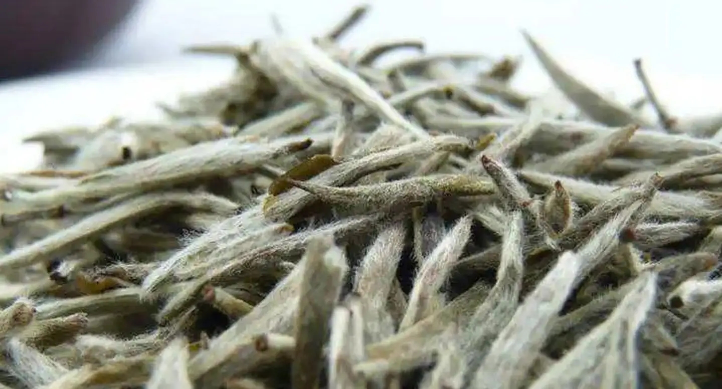 茶毫越多的茶，品質(zhì)就越高嗎？