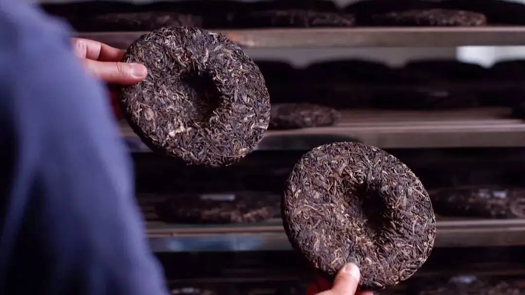 喝茶人都關(guān)心的普洱熟茶4大超核心問(wèn)題！