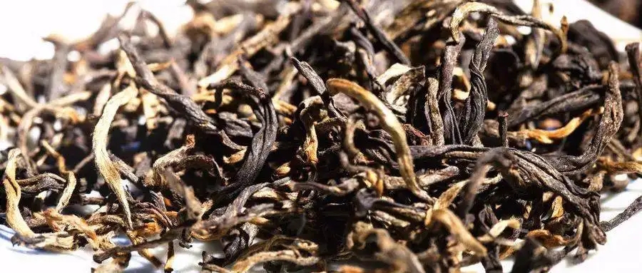 什么是茶氣？茶氣強(qiáng)勁又是一種怎樣的體驗(yàn)？