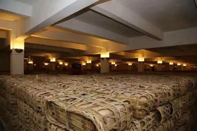 云南古樹普洱茶好在哪？相比小樹茶、臺(tái)地茶有何不同？