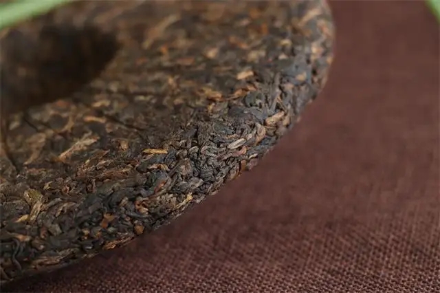 80元一餅的普洱茶和8000元一餅的普洱茶差別在哪里？