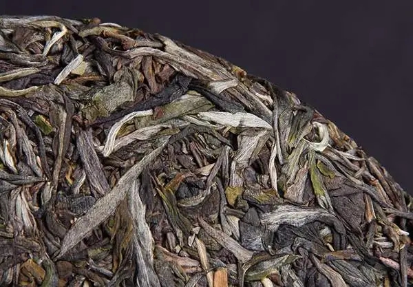 普洱茶屬于什么茶？普洱茶為什么會越陳越香？