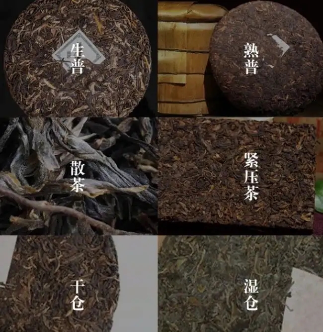 普洱茶不是越陳越香嗎？怎么也有最佳品飲期？