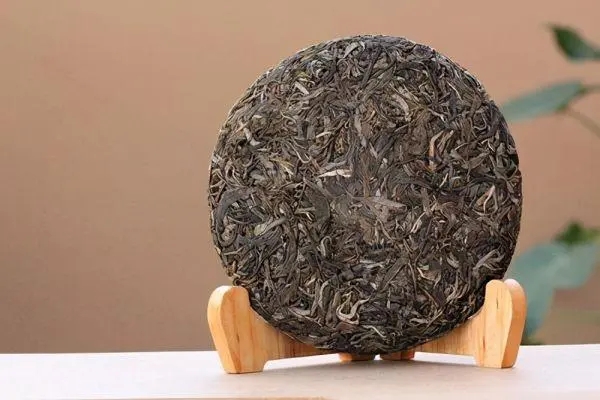 普洱茶入門首要問題，弄清楚，才能喝好茶