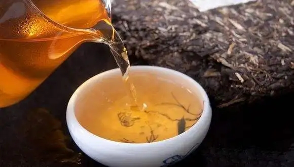 為什么越來越多人選擇普洱茶！