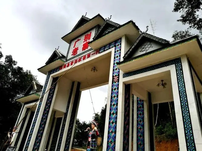 2023年廣別老寨古樹春茶品質(zhì)如何？