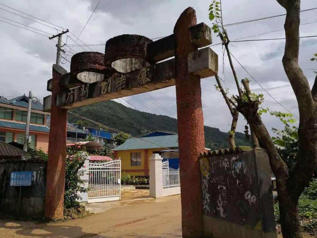 2023年廣別老寨古樹春茶價(jià)格多少？