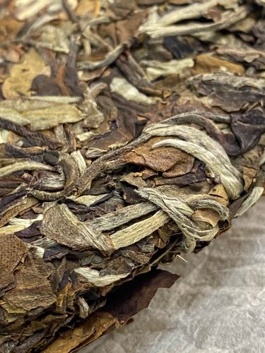 2023年拔瑪老寨古樹春茶特點(diǎn)是什么？