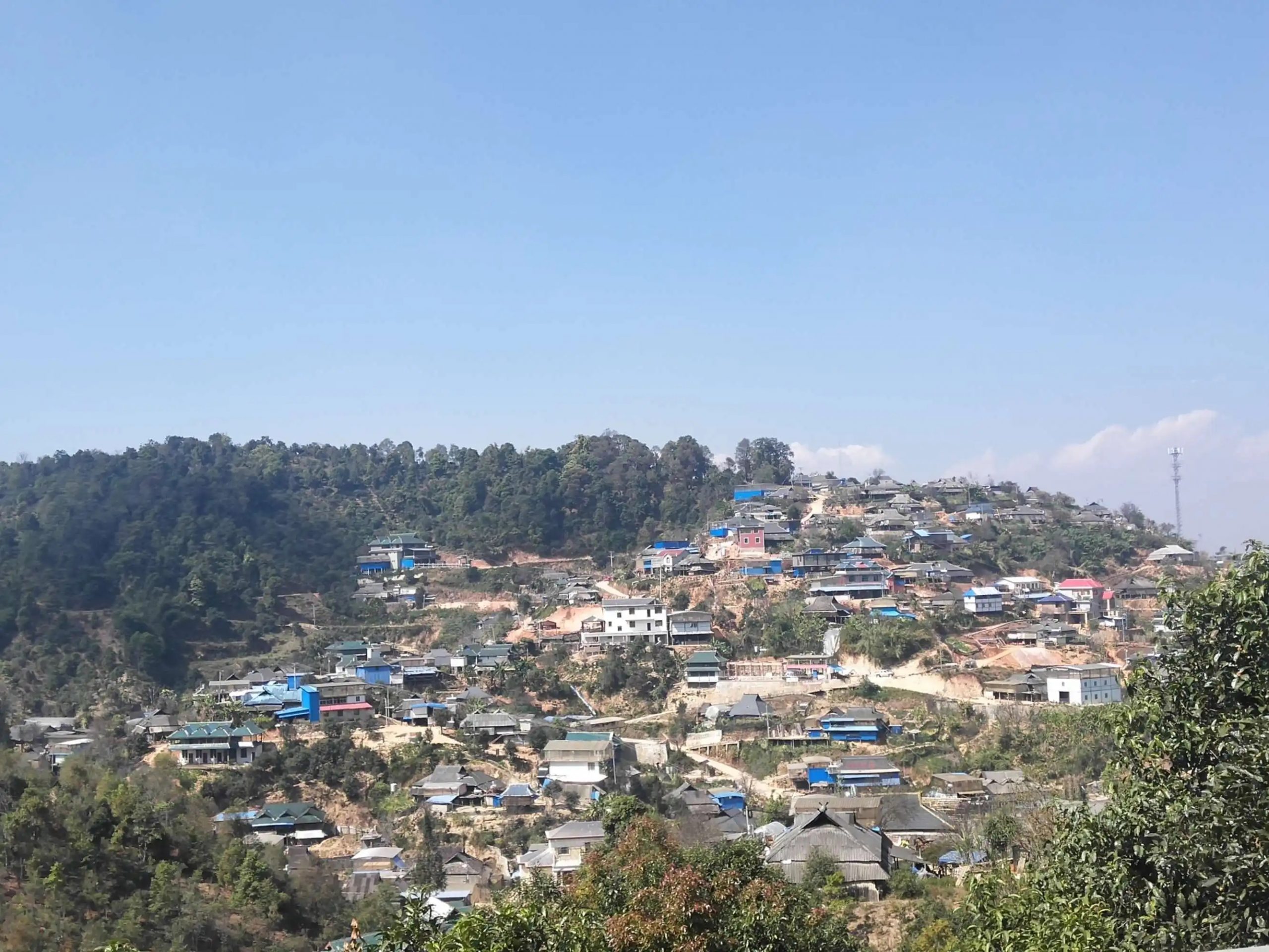 2023年帕沙古樹春茶品質(zhì)如何？