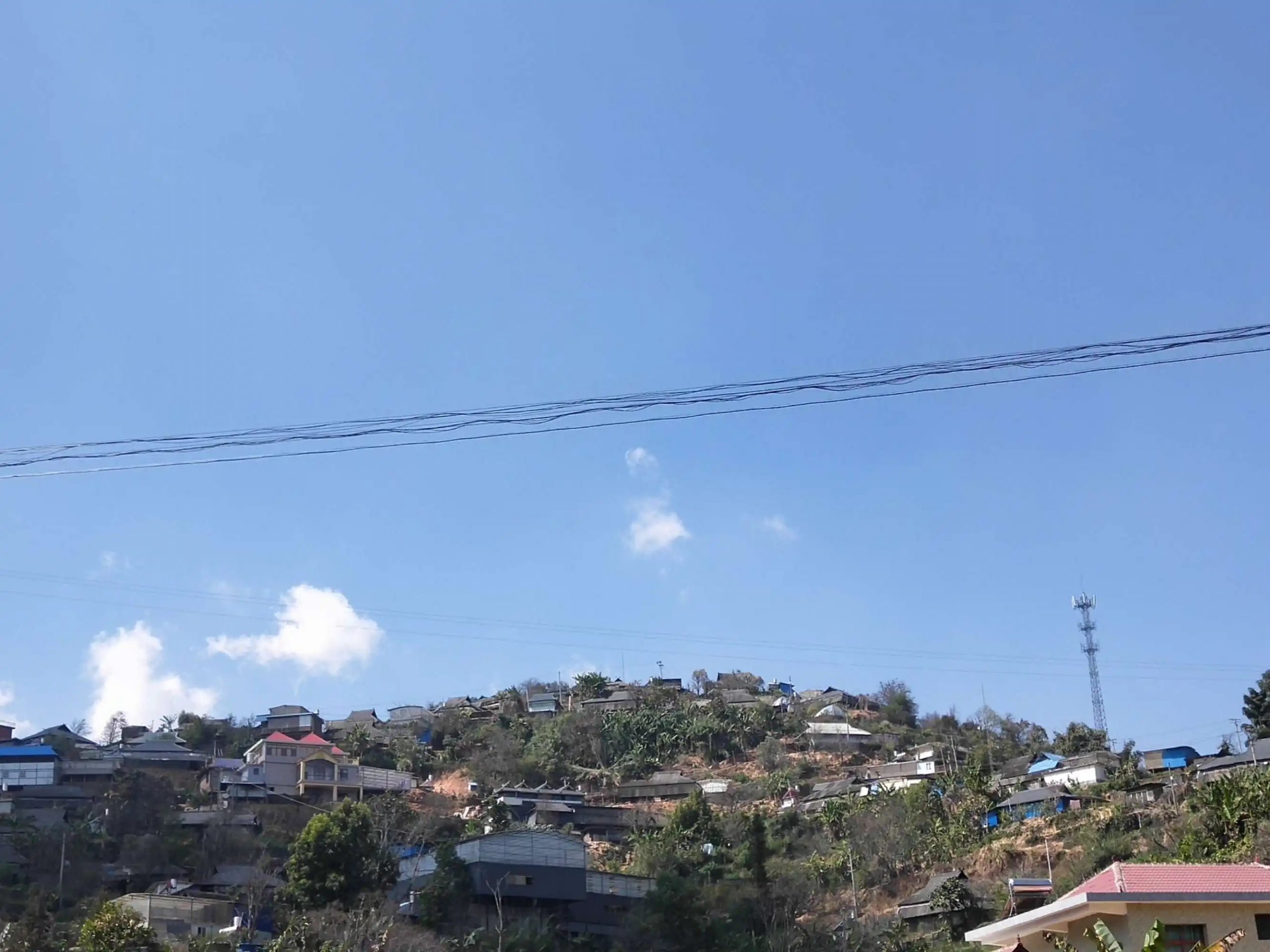 2023帕沙古樹(shù)春茶特點(diǎn)是什么？