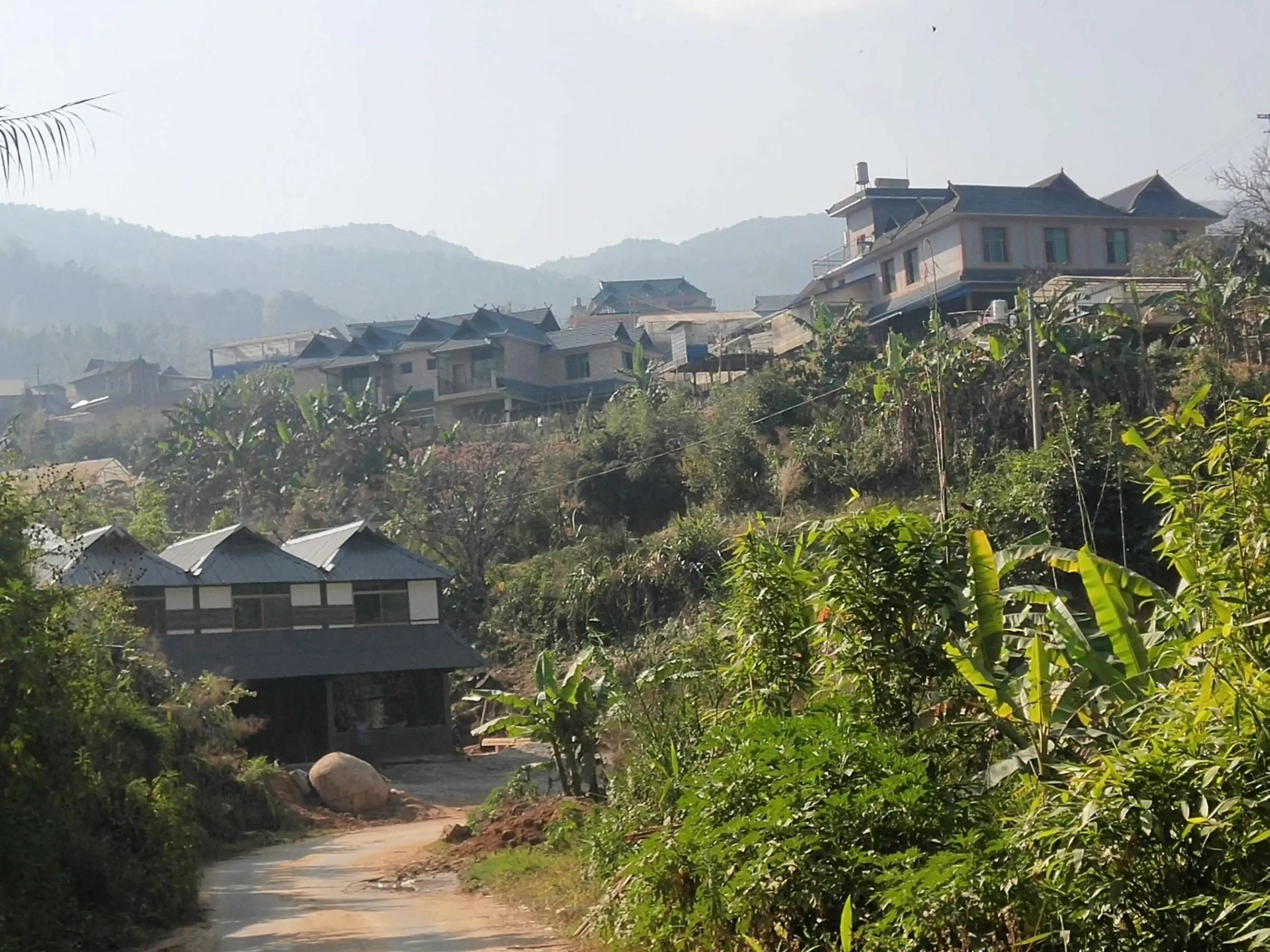 2023年帕沙古樹春茶價(jià)格多少錢？