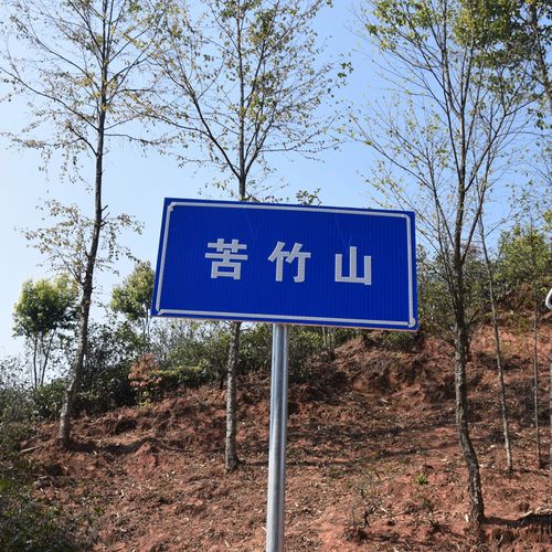 2023年苦竹山古樹春茶品質(zhì)如何？