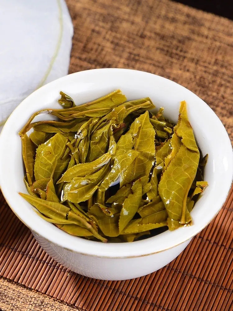 2023白鶯山古樹春茶特點(diǎn)是什么？