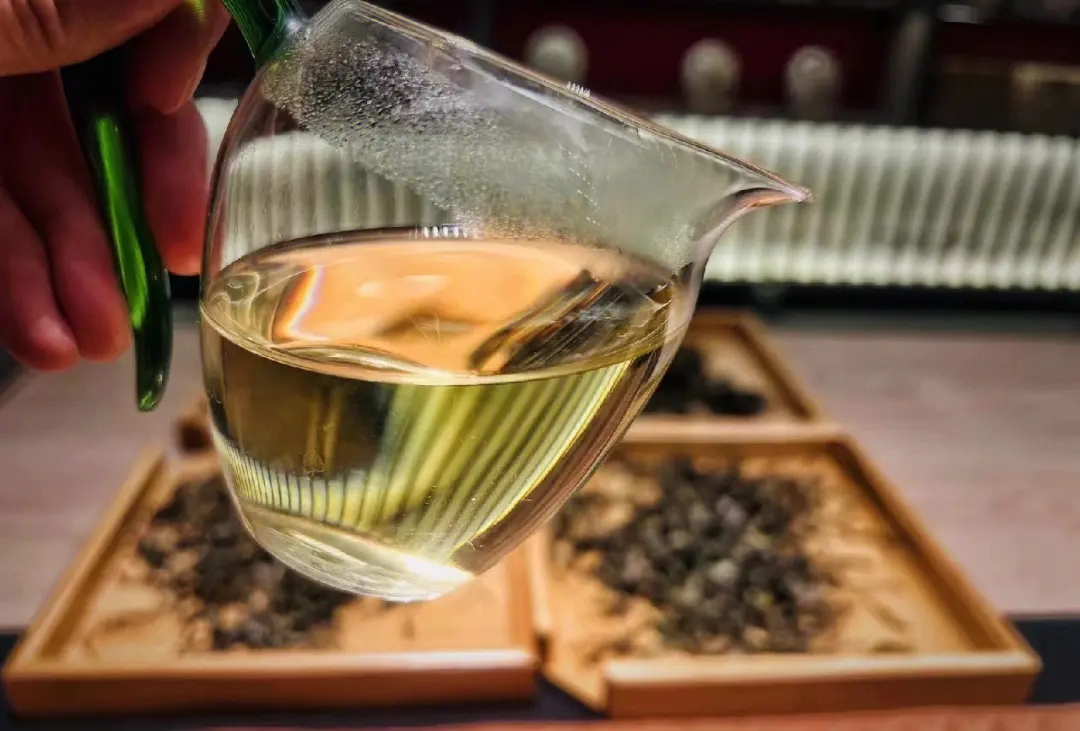 2023年鳳凰窩古樹春茶價格是多少？