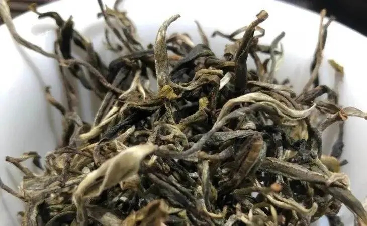 2023年鳳凰窩古樹春茶多少一公斤？