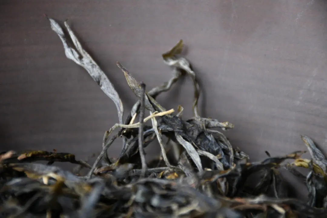 2023年正氣塘古樹春茶多少一公斤？