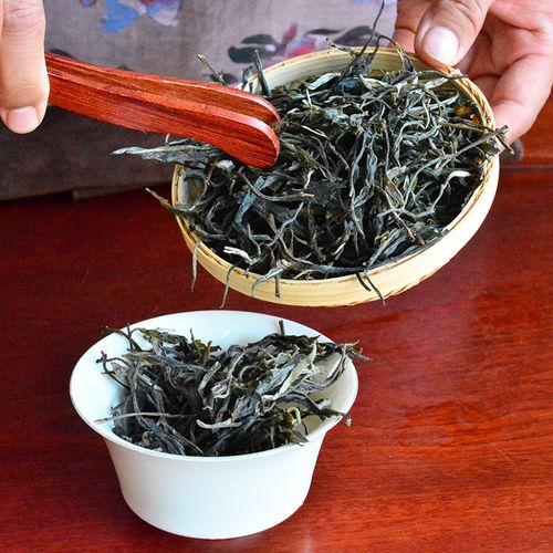 2023年地界古樹(shù)春茶口感是什么？