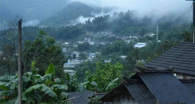 2023年勐庫豆腐寨古樹春茶口感怎么樣？