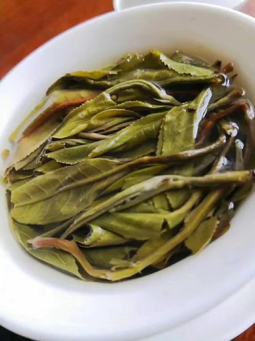 2023年鍋底塘古樹春茶特點(diǎn)是什么？