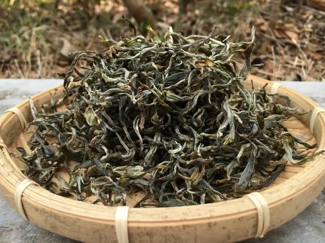 2023年易武張家灣古樹春茶品質(zhì)如何？