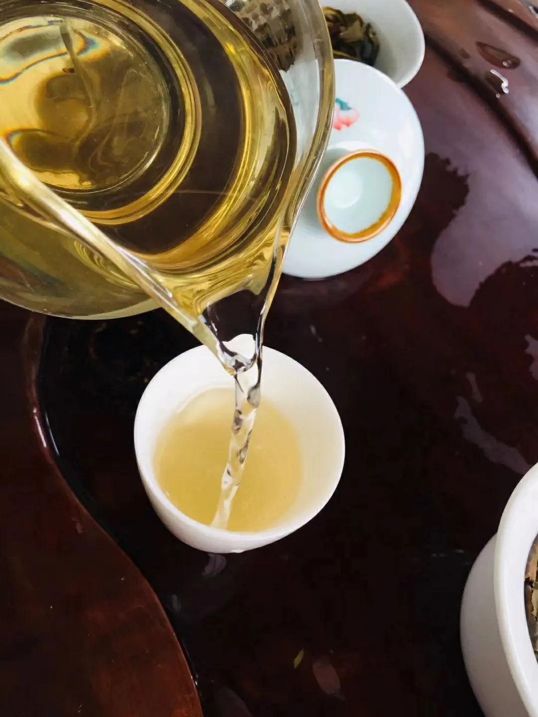 2023年鎮(zhèn)沅老海塘古樹春茶價(jià)格是多少？