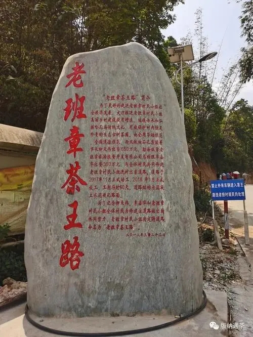 2024年老班章古樹春茶品質(zhì)如何？