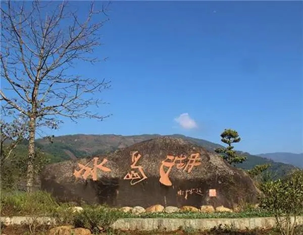 2024年冰島老寨古樹春茶品質(zhì)怎么樣？