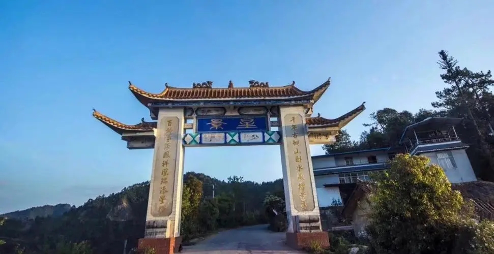 2024年墨江鳳凰窩古樹春茶特點(diǎn)是什么？