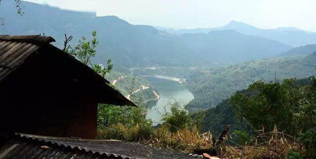 2024年磨烈古樹春茶價(jià)格多少？