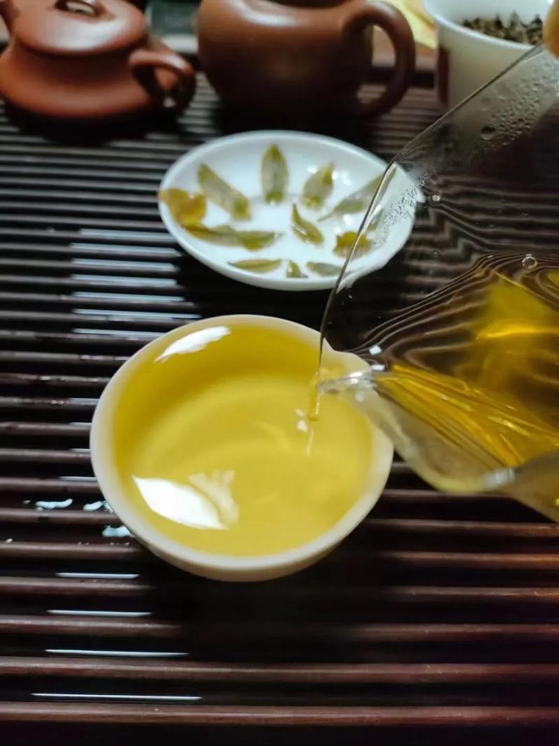 倚邦貢茶，甘甜醇柔